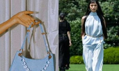 2023年属狗的穿什么颜色衣服(属猴人忌讳什么颜色)