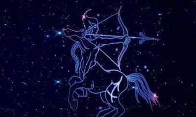 射手座的爱情思维(射手座思维怎么解释)