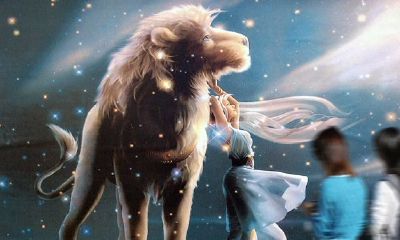 狮子座的温暖(对狮子座说的情话)