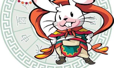 事业会成功是什么生肖动物(事业有成代表什么生肖)