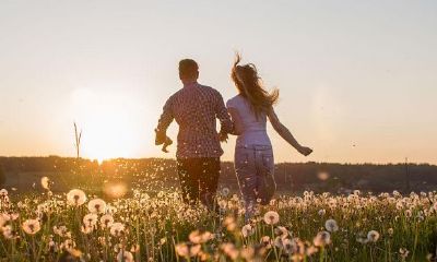 属羊与狗合作生意好不好(狗和羊的属相合不合做生意)