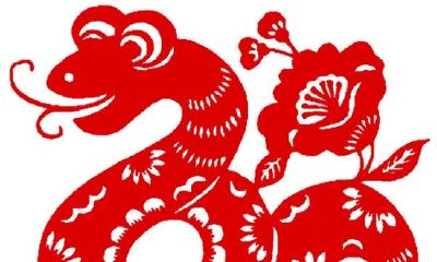 属羊牛年运程2023生肖年运(属牛人2023年运势详解)