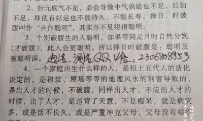 2023年属兔人的运势如何(2023年属虎人的全年运势)