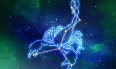 天蝎女暗示你(天蝎女和你暧昧的表现)