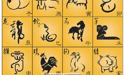 属马生肖运势2023年运程(马的运势2023年运势)