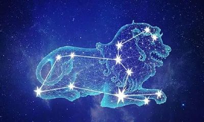 塔罗牌狮子座2023年6月爱情运势(2023年塔罗占卜狮子座)