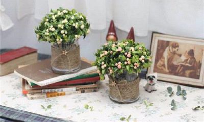 家里植物摆放风水禁忌(客厅植物摆放风水禁忌)