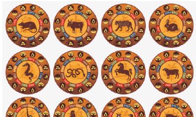 星座和属相的关系(12生肖的星座)