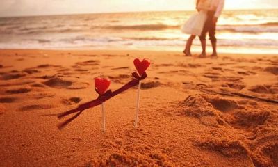 女人犯桃花运咋办(女生桃花运太好怎么办)