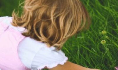 免费起名大全一千(免费起名大全男孩)