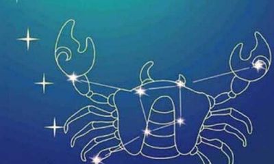 阳历7月8日是什么星座狮子座(7月底的狮子座性格)