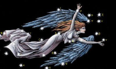 处女座男生是什么性格的人(摩羯男是什么性格的人)