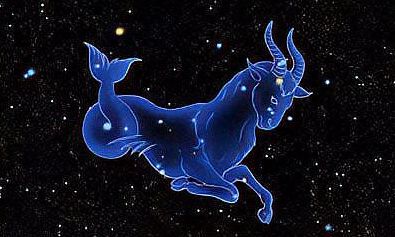 白羊座的老师是什么什么样子的(白羊座是什么系的星座)