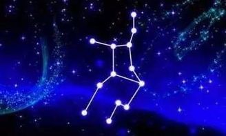 什么星座的人事业成功(最有成就的星座)