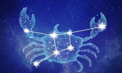 双鱼座对你说话难听(双鱼座凶起来能比过所有星座)