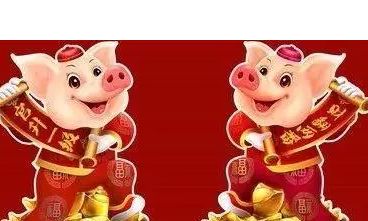 属猪生肖是哪几年(属猪人跟谁一起财运好)