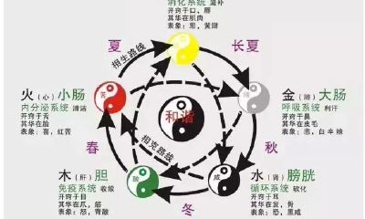 甲戌五行纳音(纳音五行有什么用)