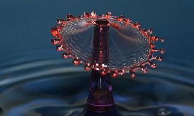 六爻100年重逢是哪一段(六爻中韩渊最后回来了吗)