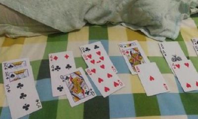 占卜运势黑桃七(占卜师黑猫最近的占卜)