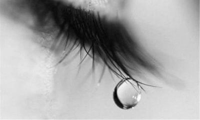 白羊座的眼泪值钱吗(白羊座与白羊座)