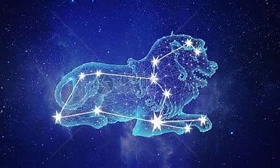 星座里面狮子座有什么特点(星座狮子座的性格)
