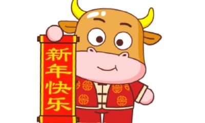 金牛年是什么意思(金牛指的是什么意思)