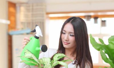 双子座搞艺术(双子座的人内心是不是很孤独)