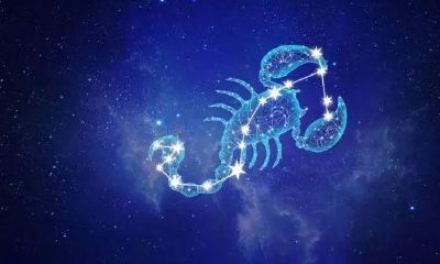 天蝎座有多专一(天蝎座对待爱情专一吗)