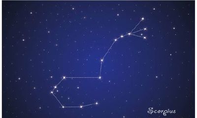 天蝎座是在几月几日出生(6月5日是什么星座)