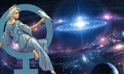 组合盘金星11宫(最像狐狸精的月亮星座)