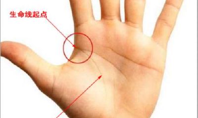 手相看学业线考试线图(手相玉柱线看学历)