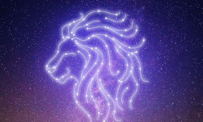 双子座对狮子座的喜欢(双子男会爱上狮子女吗)