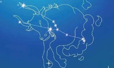 金牛座想要的爱情(金牛座2023年遇到真爱的月份)