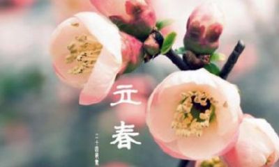 立春那几个属相要躲春(属相以立春还是除夕为界限)