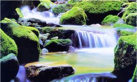 水命的女人有财运吗(水命的人缺什么)