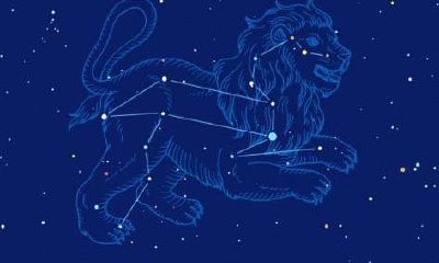 狮子座女生漂亮吗(狮子座渣女最多)