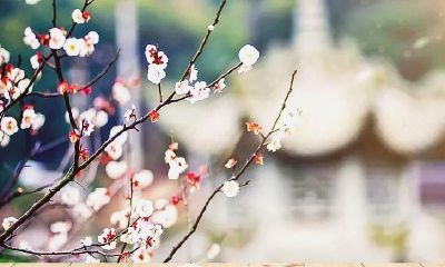 今生遇见前世相欠(今生的相遇是前世的约定是来世的)