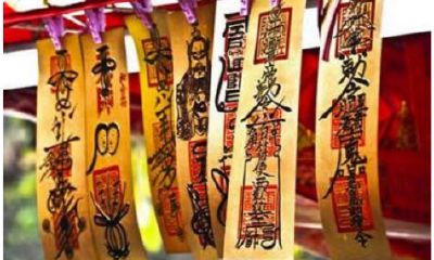 2029年冲太岁(庚子年冲太岁)