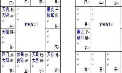 流年流月流日流时紫白飞星排盘(紫微斗数流月怎么排)