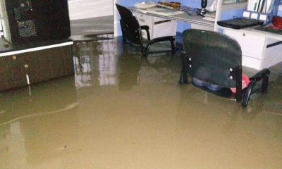 周公解梦梦见家里发水(金牛座的倔强和执念)