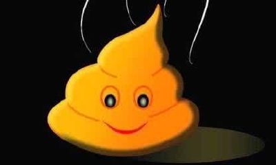 做梦梦到屎意味着什么(做梦梦到踩到屎)