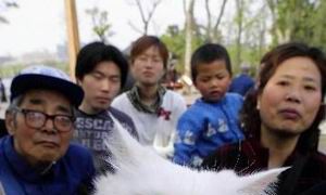 新生儿免费起名大全女宝(属羊可以带不动明王吗)