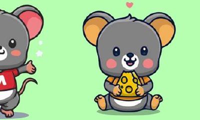 鼠年是十二年轮回的开始吗(12年称为一个轮回么)