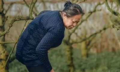 86年属虎2023多少岁(1986年属虎人在2023年怎么样)