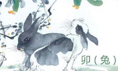 1999年兔男最佳婚配年龄(属兔女和属虎男相配吗)