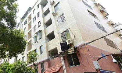 飞凤命格2023年如何调理(2023年红鸾星动的八字)