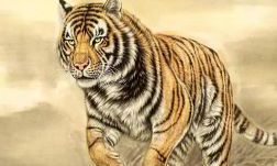 2023年属虎人本命年怎么过(2023年属虎本命年要注意什么)