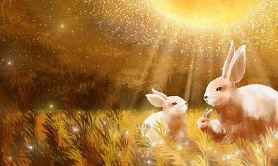 99年男属兔最佳婚配属相(1999女兔的属相婚配表)