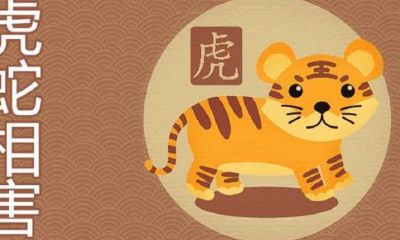 属虎可以和属蛇相配吗(属虎和属蛇的婚姻好不好)