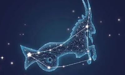 摩羯男生的性格(摩羯座女性格优点和缺点)